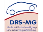 Logo Dent Repair Systems GmbH