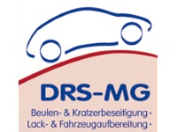 Dent Repair Systems GmbH