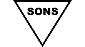 2013_06_03-sons-sr_de-bild-vorschau-339-189